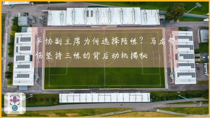 乒协副主席为何选择陪练？马龙带伤坚持三练的背后动机揭秘