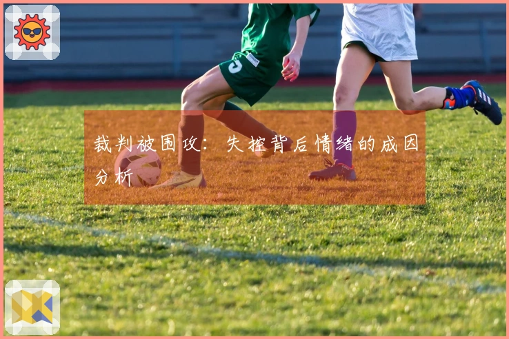 裁判被围攻：失控背后情绪的成因分析