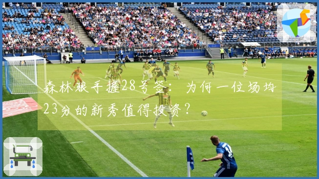 森林狼手握28号签：为何一位场均23分的新秀值得投资？