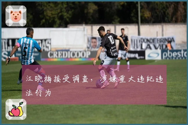江晓梅接受调查，涉嫌重大违纪违法行为
